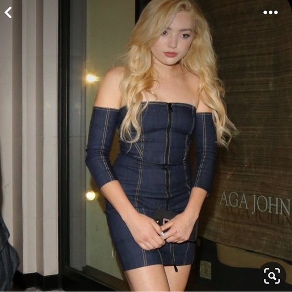 Cinq a sept dress nwt - Picture 2 of 5